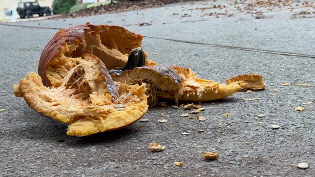 Pieces of smashed Halloween pumpkin litter pavement