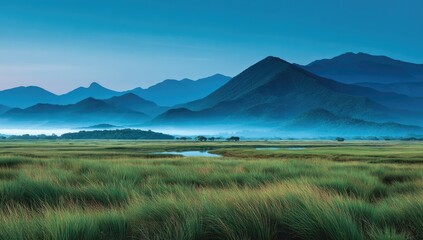 Misty mountain range over a grassy wetland