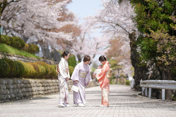 Obraz premium Three women in traditional Japanese clothing are walking down a path. One of the women is holding a baby. The scene is peaceful and serene, with cherry blossoms in the background
