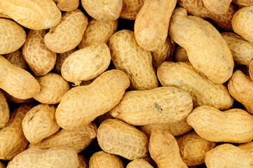 Roasted monkey nut peanuts in shells detail texture background