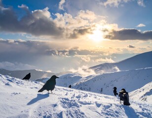 snow and crow