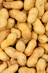 Roasted monkey nut peanuts in shells detail texture background
