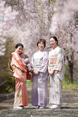 Three women in traditional Japanese clothing pose for a photo in front of cherry blossoms. Scene is serene and peaceful, as the women are surrounded by the beauty of nature