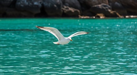 A beautiful white seagull soars gracefully over vibrant turquoise ocean water with a blurred rocky background, capturing the essence of coastal freedom.