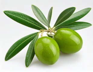 Olives on branch with olive leaves isolated on white. File contains clipping path.