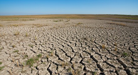 Fototapeta premium Cracked Earth A Visual Representation of Drought and Climate Change