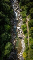 Aerial view of a river flowing through a rocky, green forest; a path meanders beside it. Crystal clear water cascades over rocks in sunlight