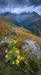A vibrant, mountainous vista showcasing autumn colors under a dramatic, cloudy sky, with golden wildflowers in the foreground