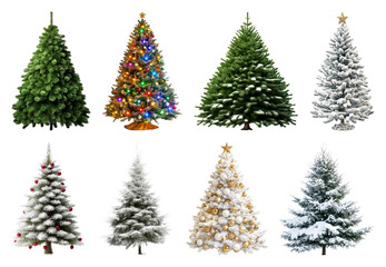 Obraz premium PNG Diverse festive Christmas trees, element set on transparent background