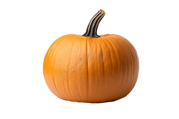Obraz premium A ripe pumpkin showcasing a vibrant orange hue against a white isolated background.