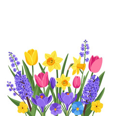 Colorful Spring Flowers Arrangement on White Background