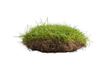 Fresh grass mound with dirt isolated on a white background for nature and gardening themes.