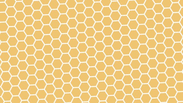 Circle, square, abstract, dynamic, motion, geometric, colorful, smooth, seamless, modern, vibrant, flowing, minimal, pattern, futuristic, soft, gradient, animated, elegant, loop