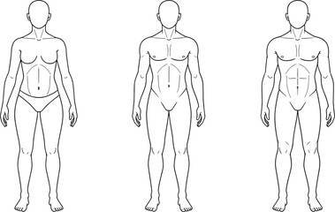 Human body outline vector illustration, male and female anatomy figures, medical diagram design, healthcare artwork, anatomical drawing, fitness shape reference, educational graphic