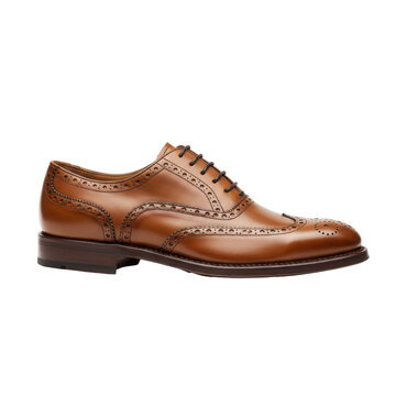 Elegant brown leather brogue oxford shoe side view, isolated on white background