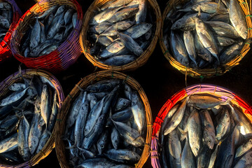 Fish fresh traditionlan market