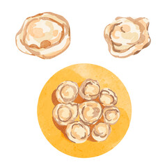 Watercolor Pelmeni Elements