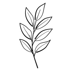 Autumn Leaf Line Art Clipart Hand Drawn Black and White Leaf Outline Illustration Fall Foliage Transparent Background for Stickers Coloring Pages Journals Scrapbooking Craft Printables