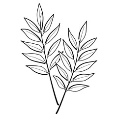Autumn Leaf Line Art Clipart Hand Drawn Black and White Leaf Outline Illustration Fall Foliage Transparent Background for Stickers Coloring Pages Journals Scrapbooking Craft Printables
