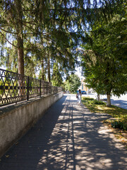 A person walking down a sidewalk next to a tree lined walkway