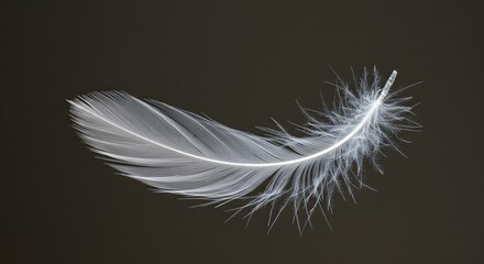 Obraz premium Delicate White Feather Floating Against Dark Background