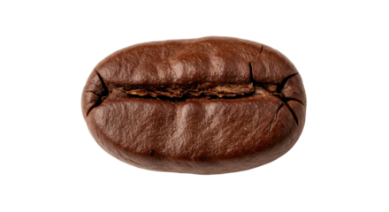 Close-up of a Roasted Coffee Bean Showing Detailed Texture and Cracks