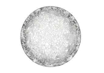 Obraz premium Intricate Spherical Structure with Detailed Cellular Pattern and Subtle Shading.