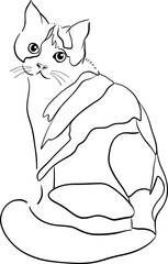 A cute vector cartoon cat  illustration