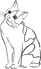 A funny cartoon cat illustration with a black silhouette