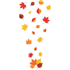 Colorful Autumn Leaves Falling Down Vector Illustration