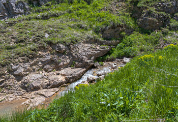 the source of a mountain river, on the slopes and in a stone riverbed in the mountains