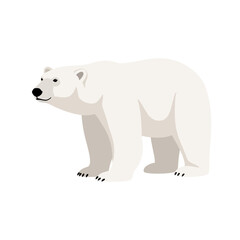 Stylized Polar Bear Illustration on White Background