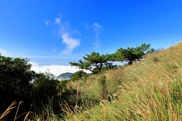 Fototapeta premium Qingtiangang Grassland in Taipei Yangmingshan National Park, Taiwan.