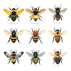 set of funny cartoon bee