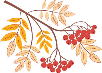 Vector illustration of a branch featuring green leaves and clusters of red berries.