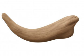 Curved piece of driftwood isolated on transparent background, perfect for nature-themed designs