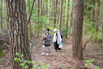 A group of women are walking through a forest, one of them holding a baby. Scene is peaceful and serene, as the women enjoy their time in nature