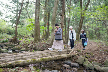 Fototapeta premium A group of people are walking across a bridge in a forest. Scene is peaceful and serene, as the group seems to be enjoying their time in nature