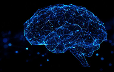 Digital Representation of a Human Brain with Connected Networks