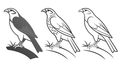 Fototapeta premium Falcon outline variations hawk bird