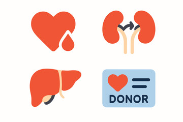 Organ donation awareness concept with heart kidney liver and donor card.