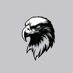vector head of an eagle