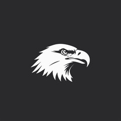 vector head of an eagle