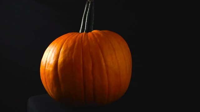 Close up view orbiting around a orange fresh and tasty pumpking that is uncarved and in front of a black studio background with good spotlight lights lighting it. Textures and details visible.
