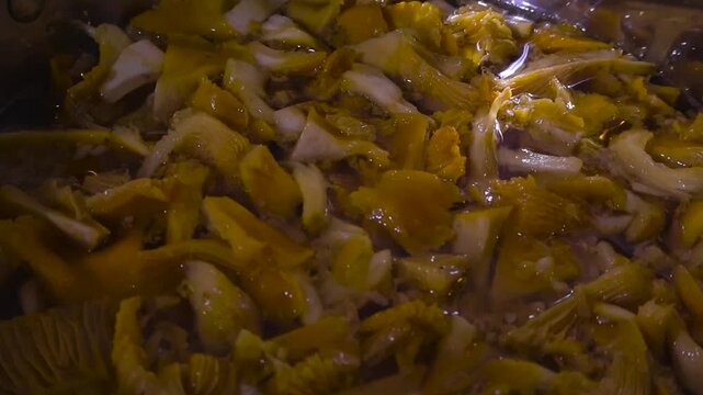 Close up top down view of Golden Chanterelle or Girolle mushrooms that are sliced and cleaned being boild in a large pot in water that is bubbling slowly and is also reflective. Home kitchen cooking.