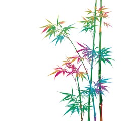 Fototapeta premium Tanabata bamboo transparent