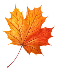 Obraz premium Autumn's Golden Embrace: A close-up of an autumnal maple leaf, showcasing the vibrant hues of fall in stunning detail.