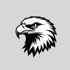 vector head of an eagle