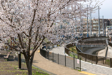 白鷺せせらぎ公園（東京都中野区白鷺１丁目４）