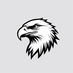 vector head of an eagle